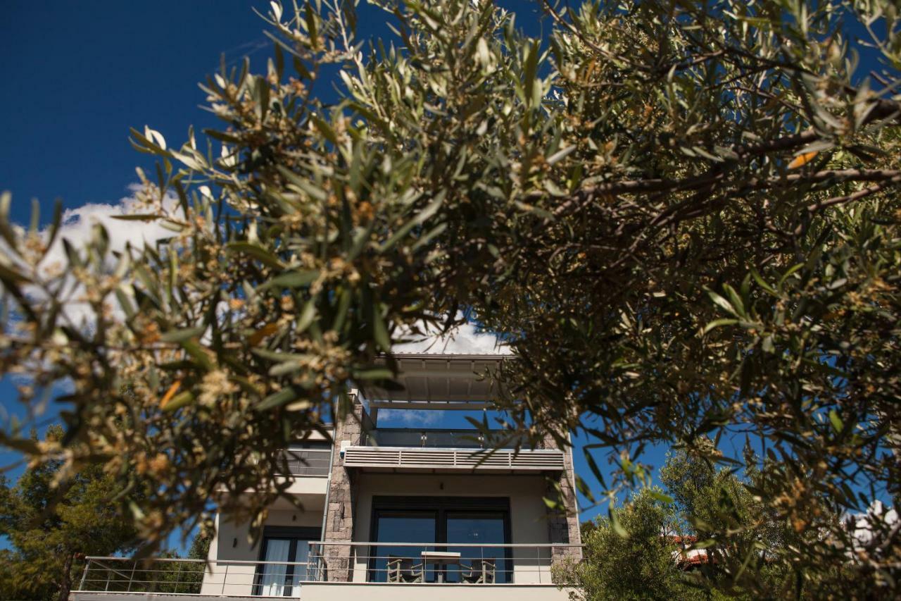 Olivia Estate Villa With Private Swimming Pool エリア エクステリア 写真