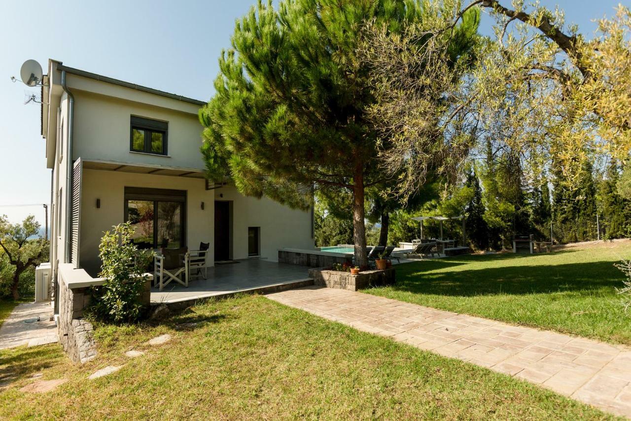 Olivia Estate Villa With Private Swimming Pool エリア エクステリア 写真