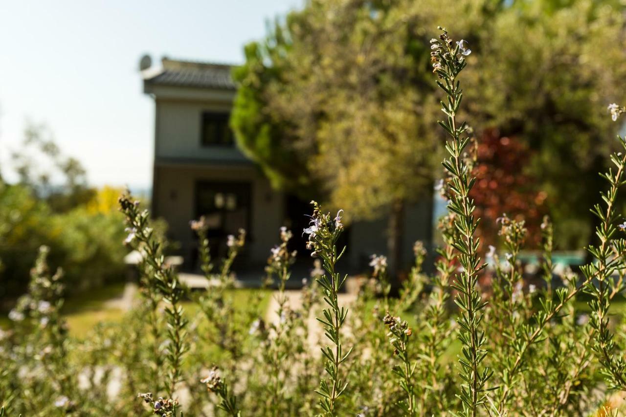 Olivia Estate Villa With Private Swimming Pool エリア エクステリア 写真